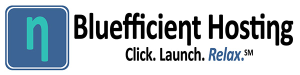 Bluefficient Hosting Logo